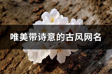 唯美網名|唯美有诗意的网名（精选575个）